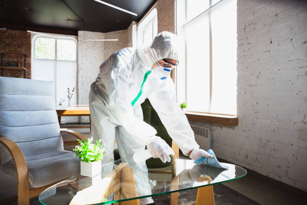 Why You Should Choose Our Mold Remediation Services in Gray Summit, MO